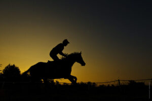 foto galoppo cavallo- fotografo brescia