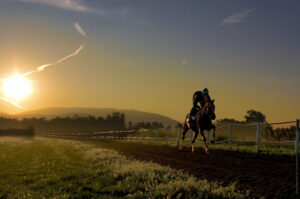 foto galoppo cavallo- equestrian photographer