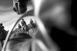 foto cavalli- equestrian photographer