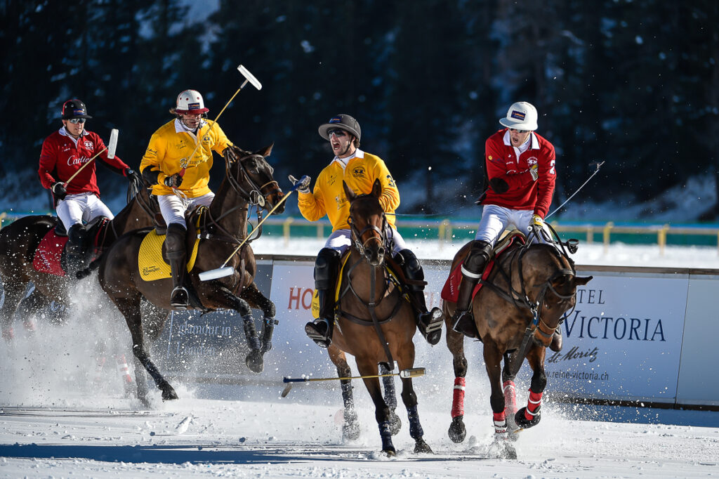 foto cavalli - equestrian photographer