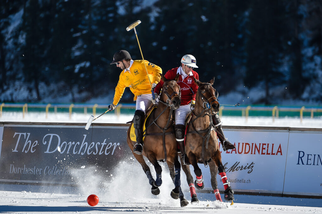 foto cavalli - equestrian photographer